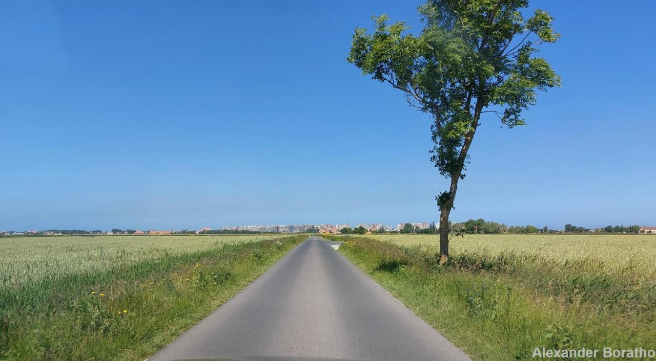 Studio Boris, Voor Een Comfortabel Verblijf ! Lägenhet Middelkerke Exteriör bild
